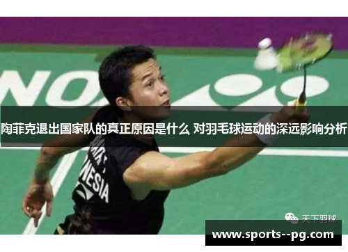 陶菲克退出国家队的真正原因是什么 对羽毛球运动的深远影响分析 陶菲克退出国家队的真正原因是什么 对羽毛球运动的深远影响分析