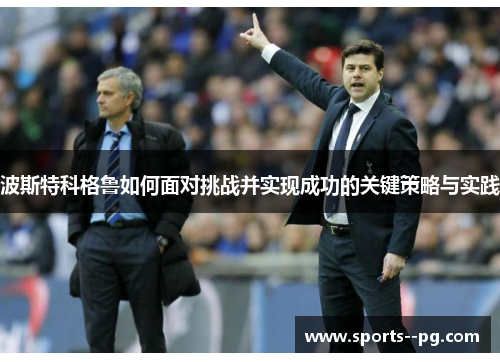 波斯特科格鲁如何面对挑战并实现成功的关键策略与实践