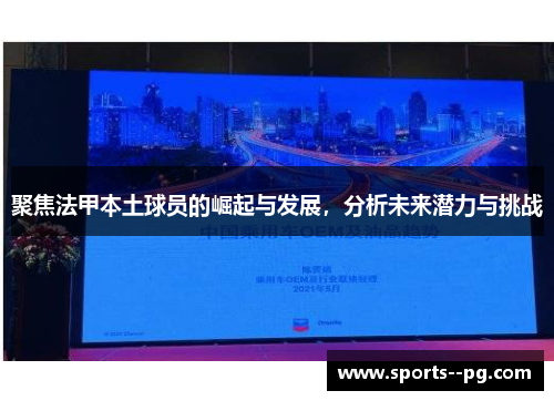 聚焦法甲本土球员的崛起与发展，分析未来潜力与挑战